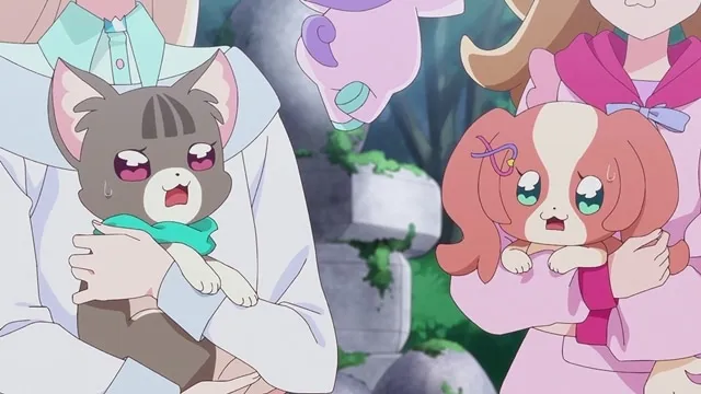 Next Episode Preview