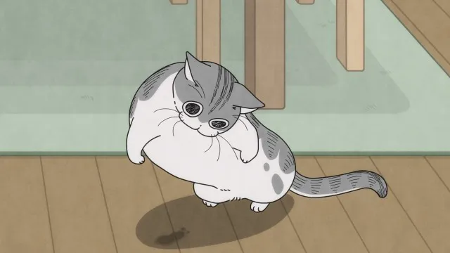 Next Episode Preview