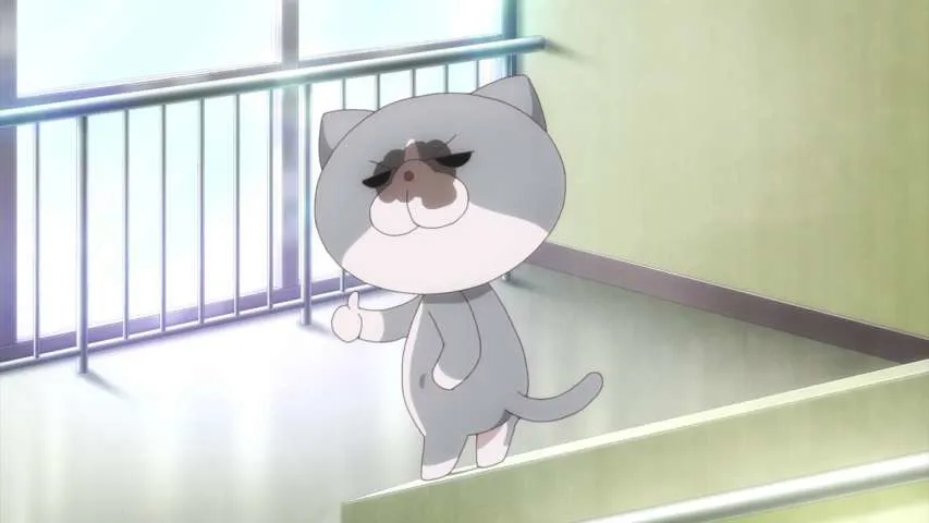 Next Episode Preview