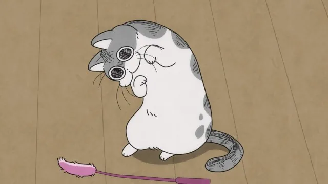 Next Episode Preview