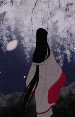 Shadow of the Cherry Blossoms