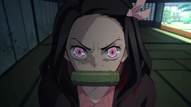 Next Episode Preview