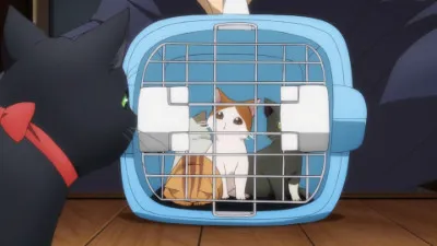 Next Episode Preview