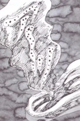 Ten Nights' Dreams