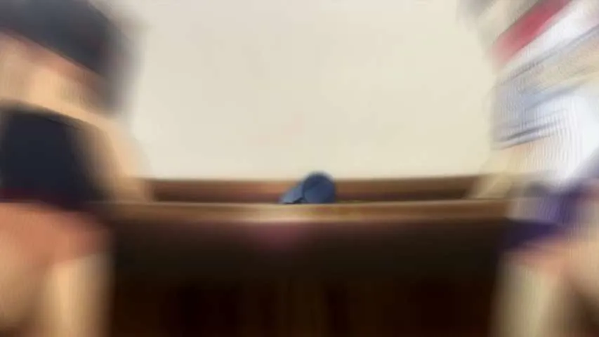 Next Episode Preview