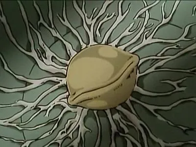 Next Episode Preview