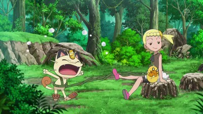 Next Episode Preview