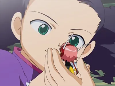 Next Episode Preview