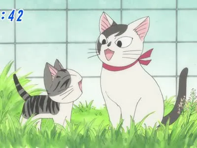 Next Episode Preview