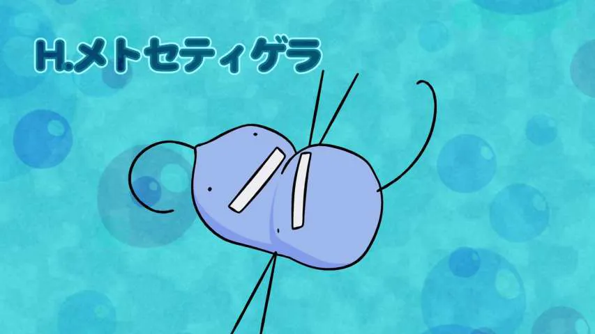 Next Episode Preview