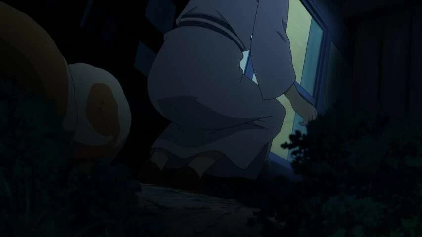 Next Episode Preview