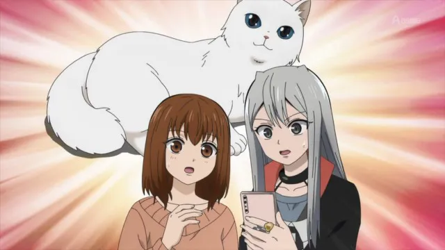 Next Episode Preview