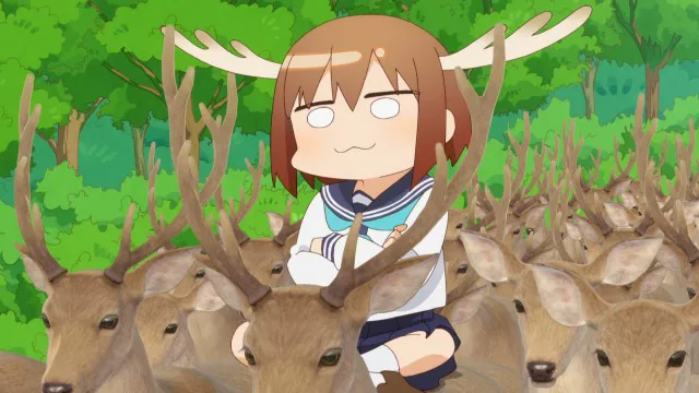Next Episode Preview