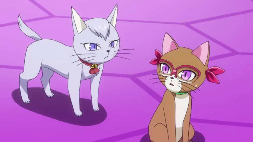 Next Episode Preview