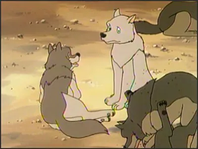 Next Episode Preview