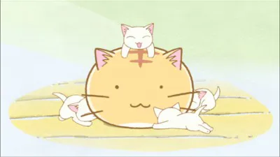 Next Episode Preview