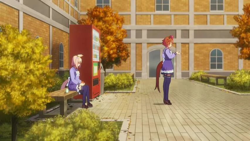 Next Episode Preview