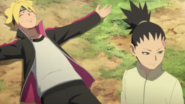 Next Episode Preview