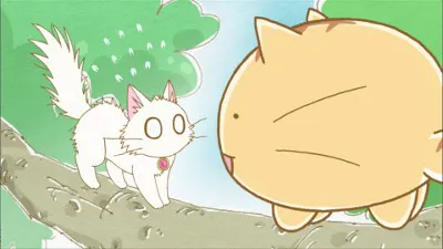 Next Episode Preview