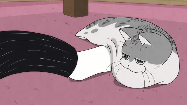 Next Episode Preview