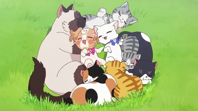 Next Episode Preview