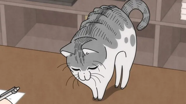 Next Episode Preview