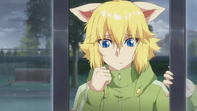 Next Episode Preview