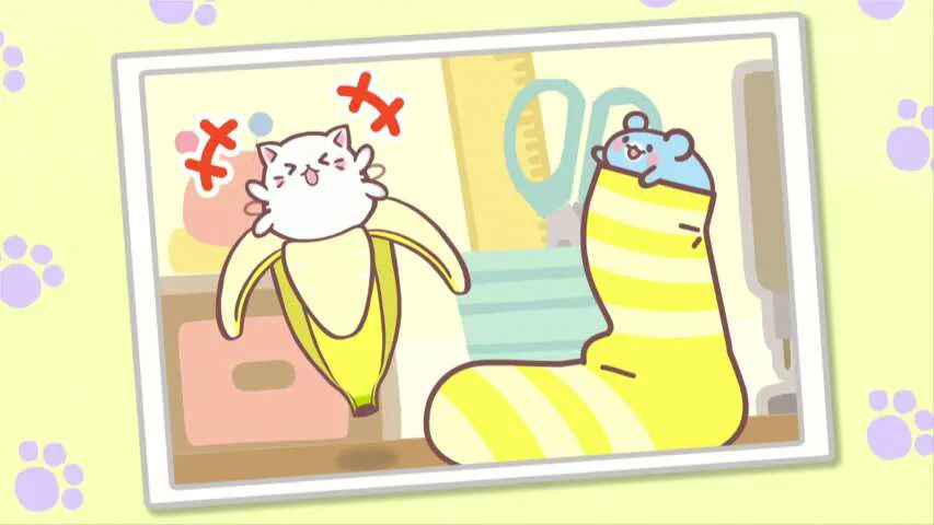 Next Episode Preview