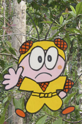 Konchuu Ninja