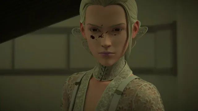 Next Episode Preview