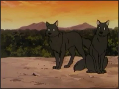 Next Episode Preview