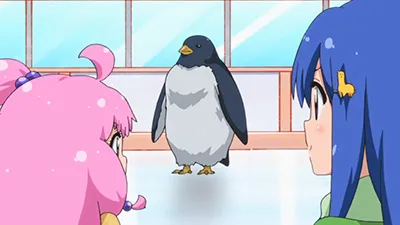 Next Episode Preview