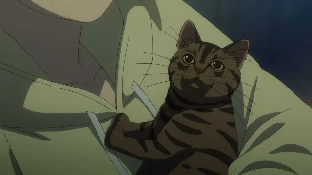 Next Episode Preview