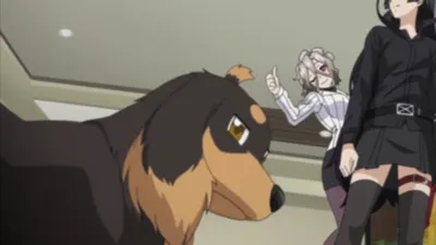 Next Episode Preview