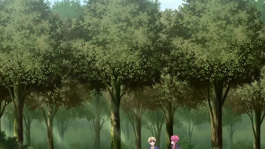 Next Episode Preview