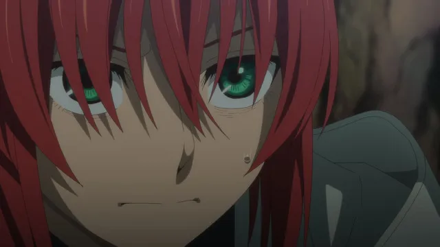 Next Episode Preview