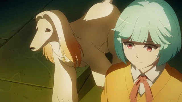 Next Episode Preview