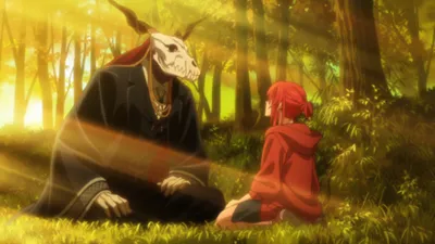 Next Episode Preview