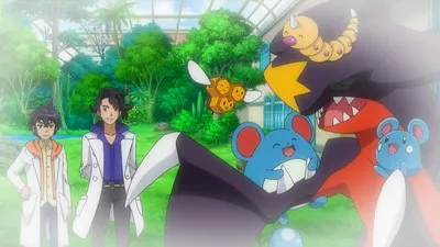 Next Episode Preview