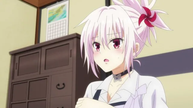 Next Episode Preview