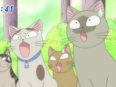 Next Episode Preview