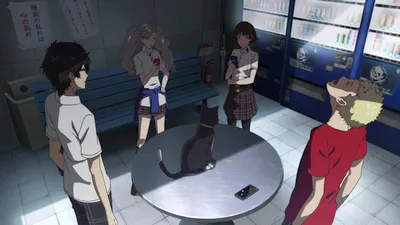 Next Episode Preview