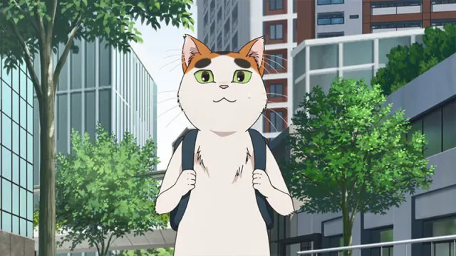 Next Episode Preview