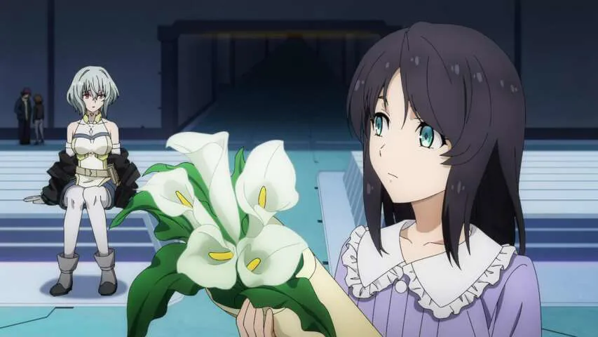 Next Episode Preview