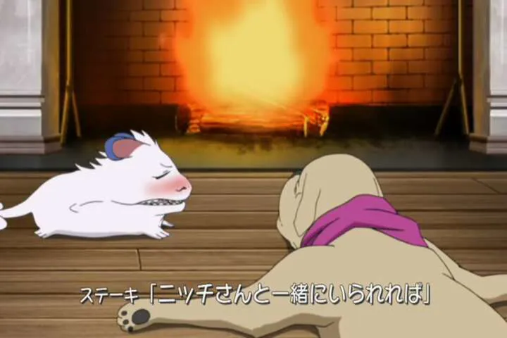 Next Episode Preview