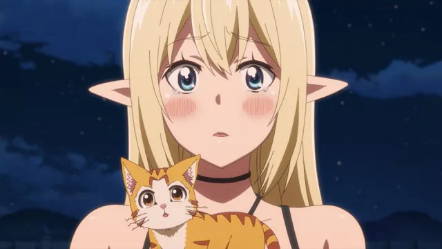 Next Episode Preview