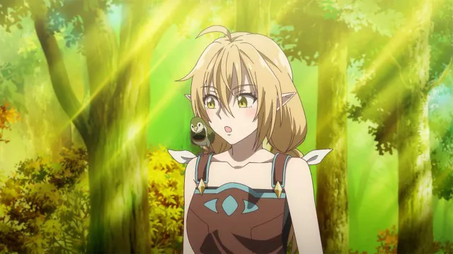 Next Episode Preview
