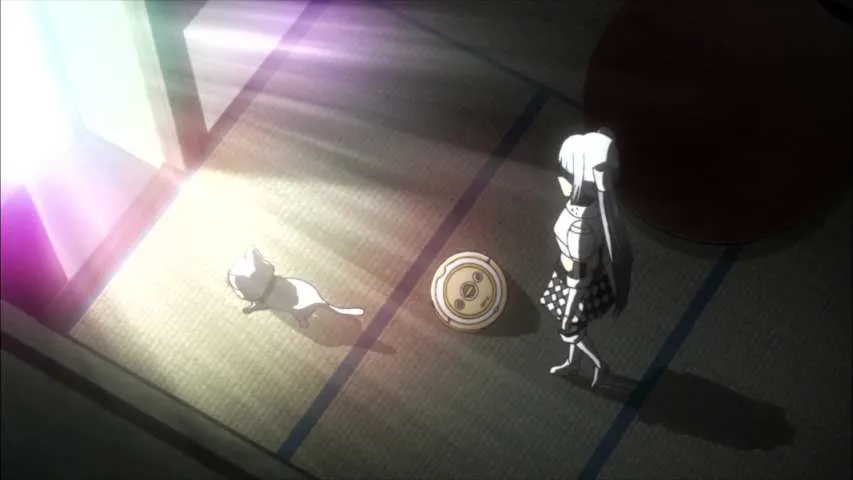 Next Episode Preview