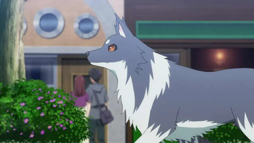 Next Episode Preview