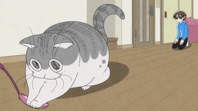 Next Episode Preview
